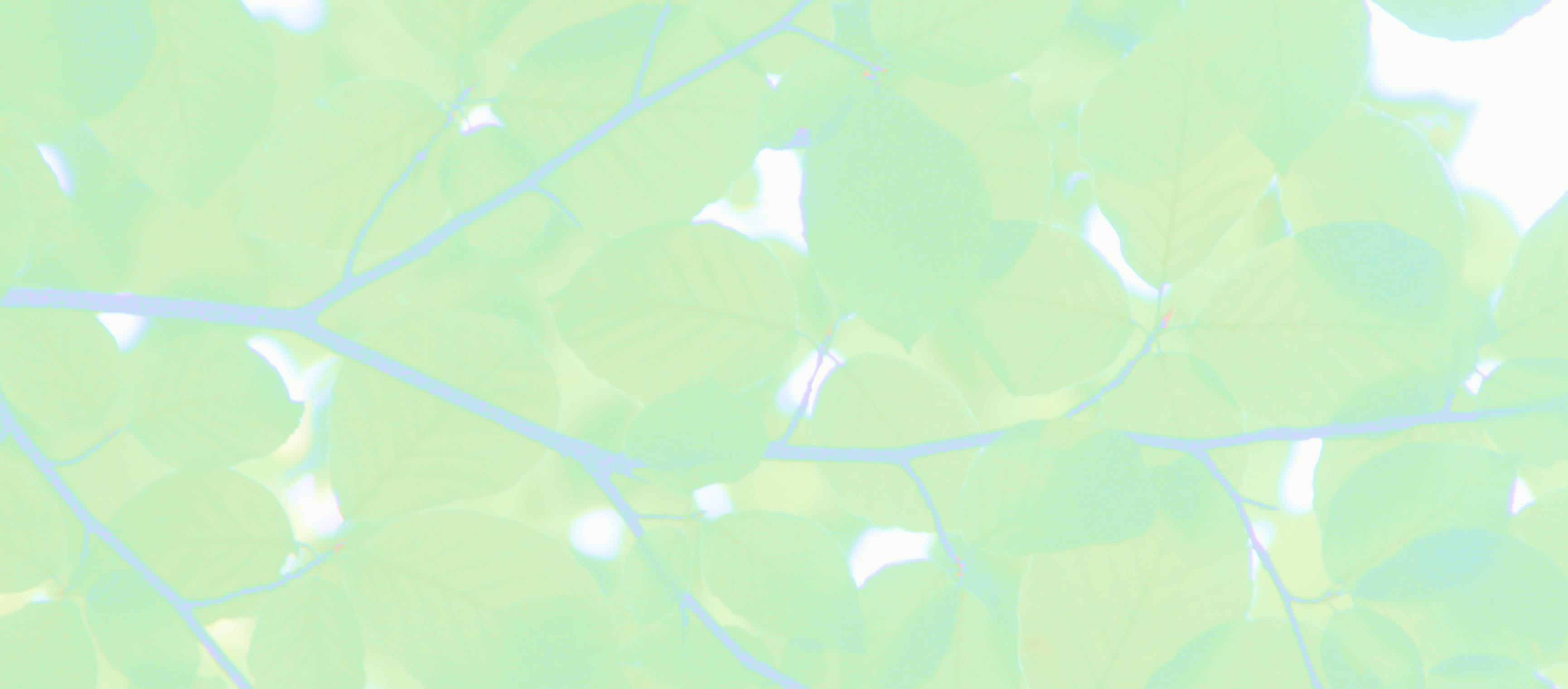 background-image