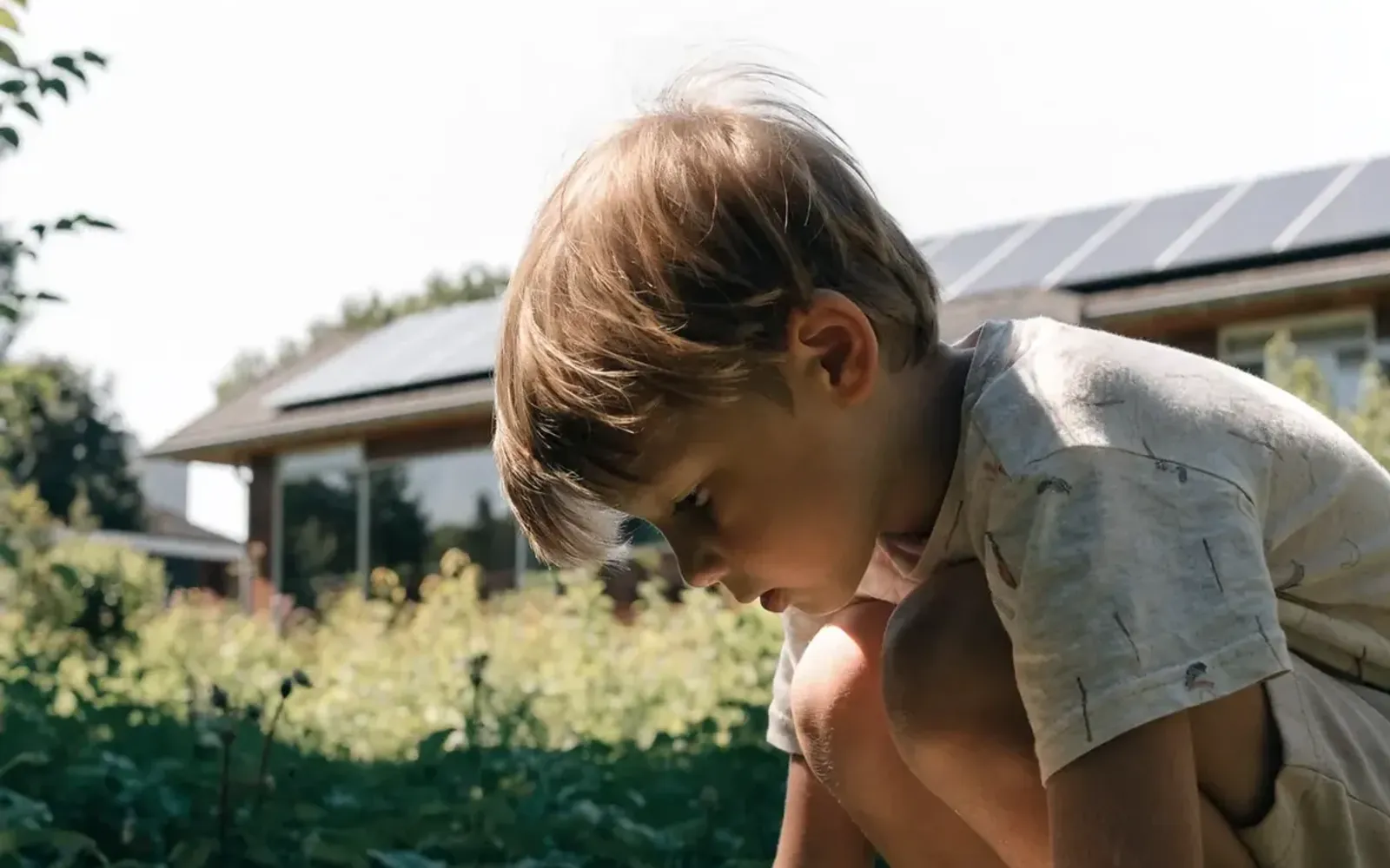 Zonnepanelen op een dak overdag