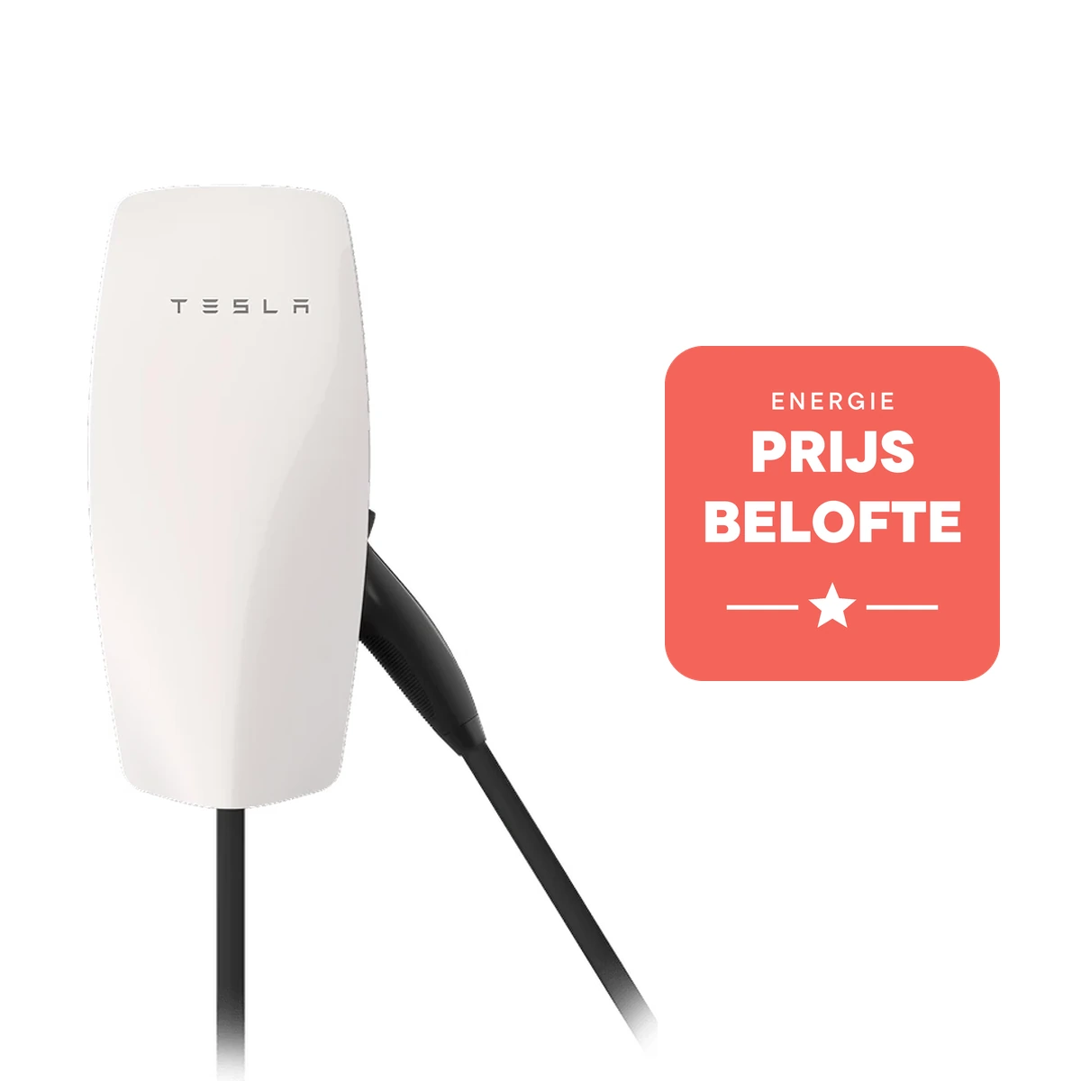 Laadpaal met de prijsbelofte van Energie Morgen